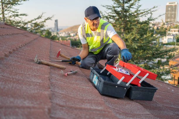 Best Shed Removal  in London, CA